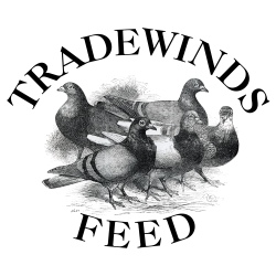 Tradewinds Logo